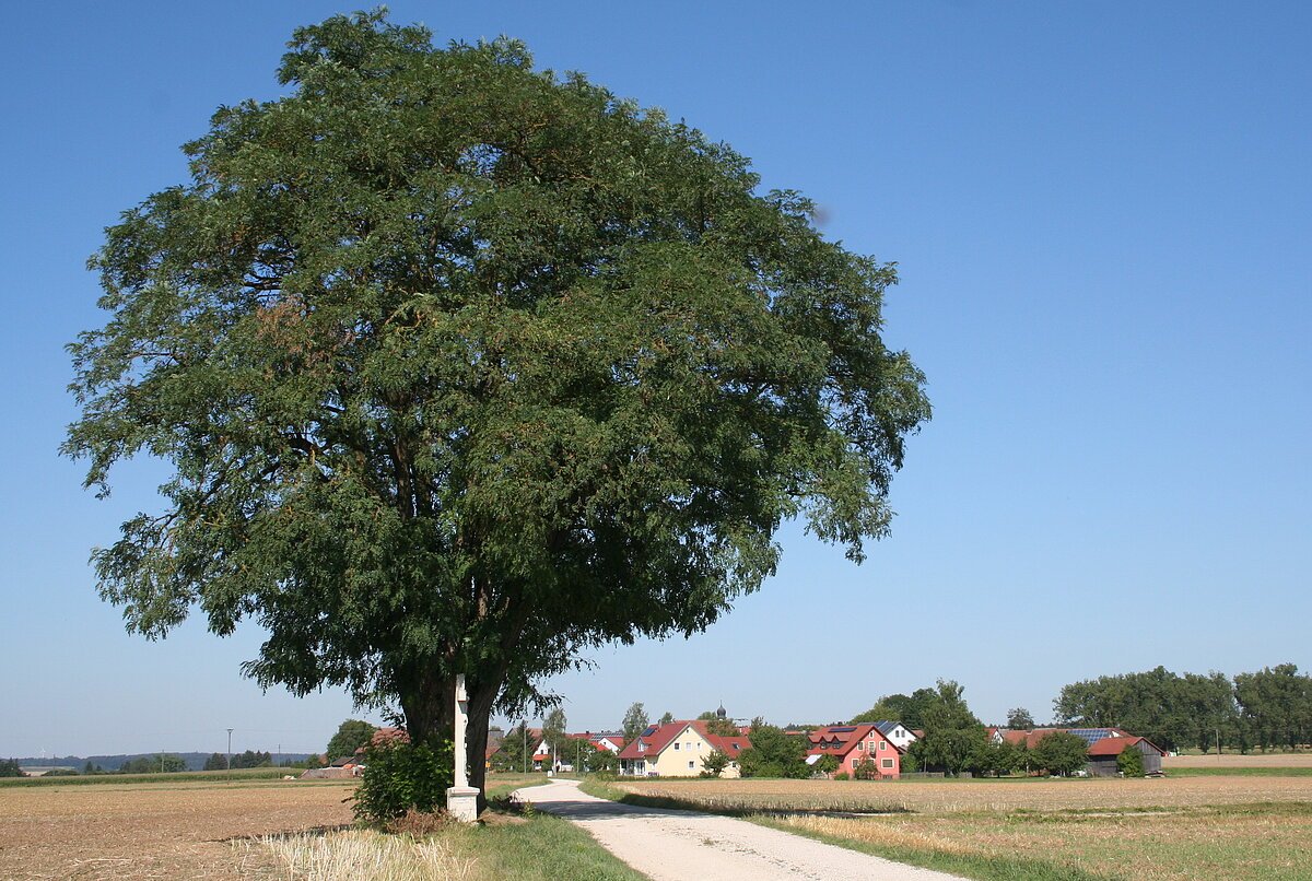 Ansicht auf Kaising