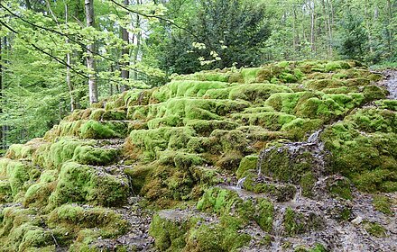 Hoher Brunnen